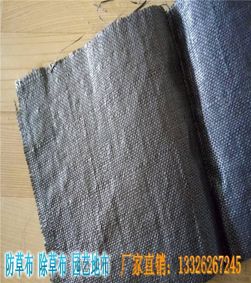 75546_conew1.jpg