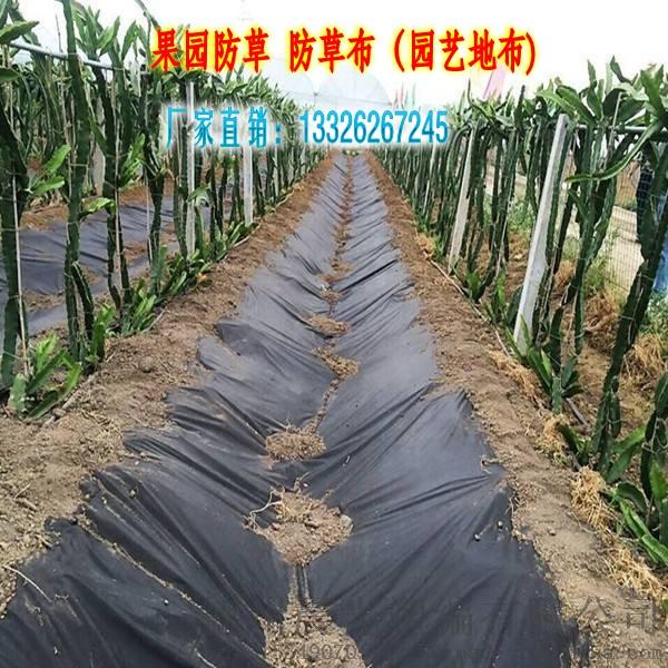 重庆市盖草布厂家，一亩地多少钱796009705
