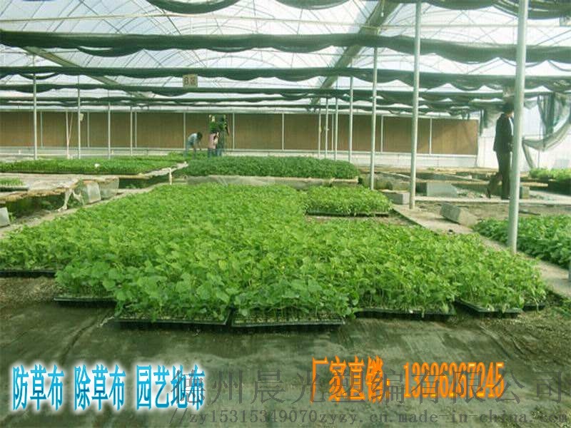95645_conew1.jpg