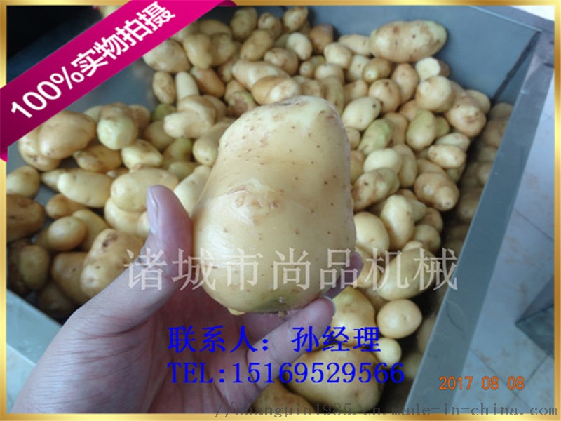 DSC02974.jpg