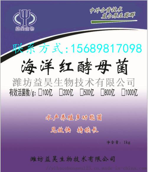 海洋红酵母菌正面.jpg