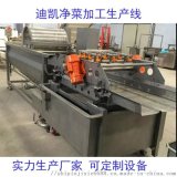 气泡全自动蔬菜清洗机 大型洗菜机