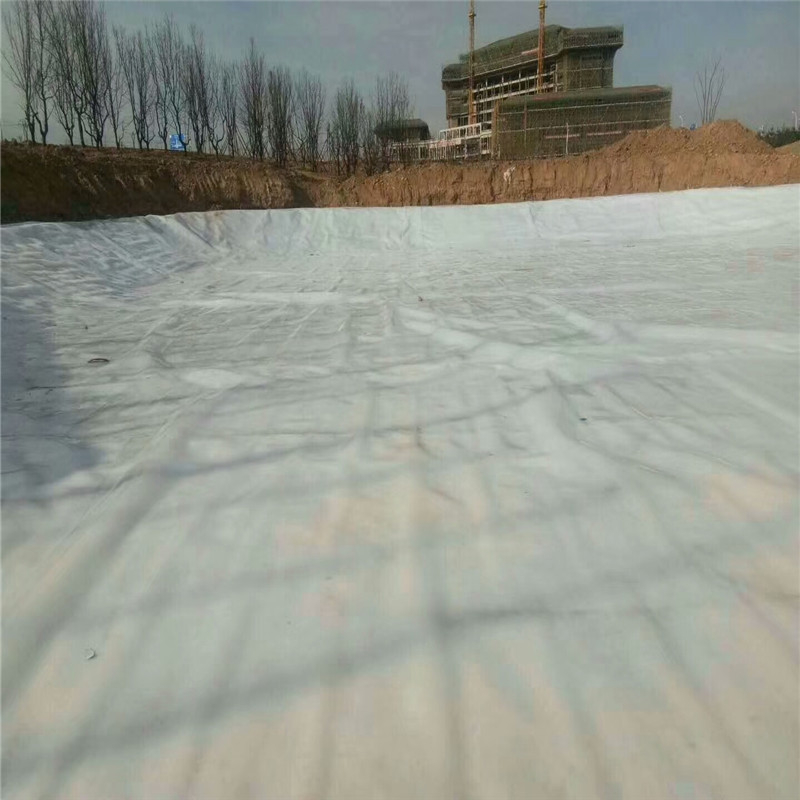 4800gGCL膨润土防水毯763789392