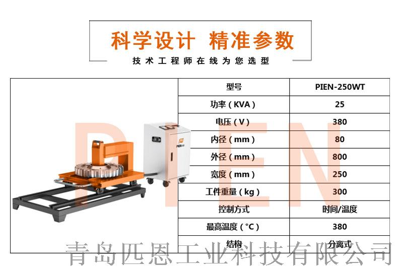 PIEN-250WT_03.jpg