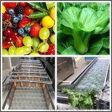 果蔬加工清洗机 水果蔬菜清洗风干机