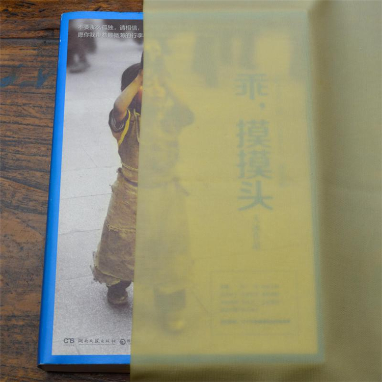 小型是豆腐皮机 (1).jpg