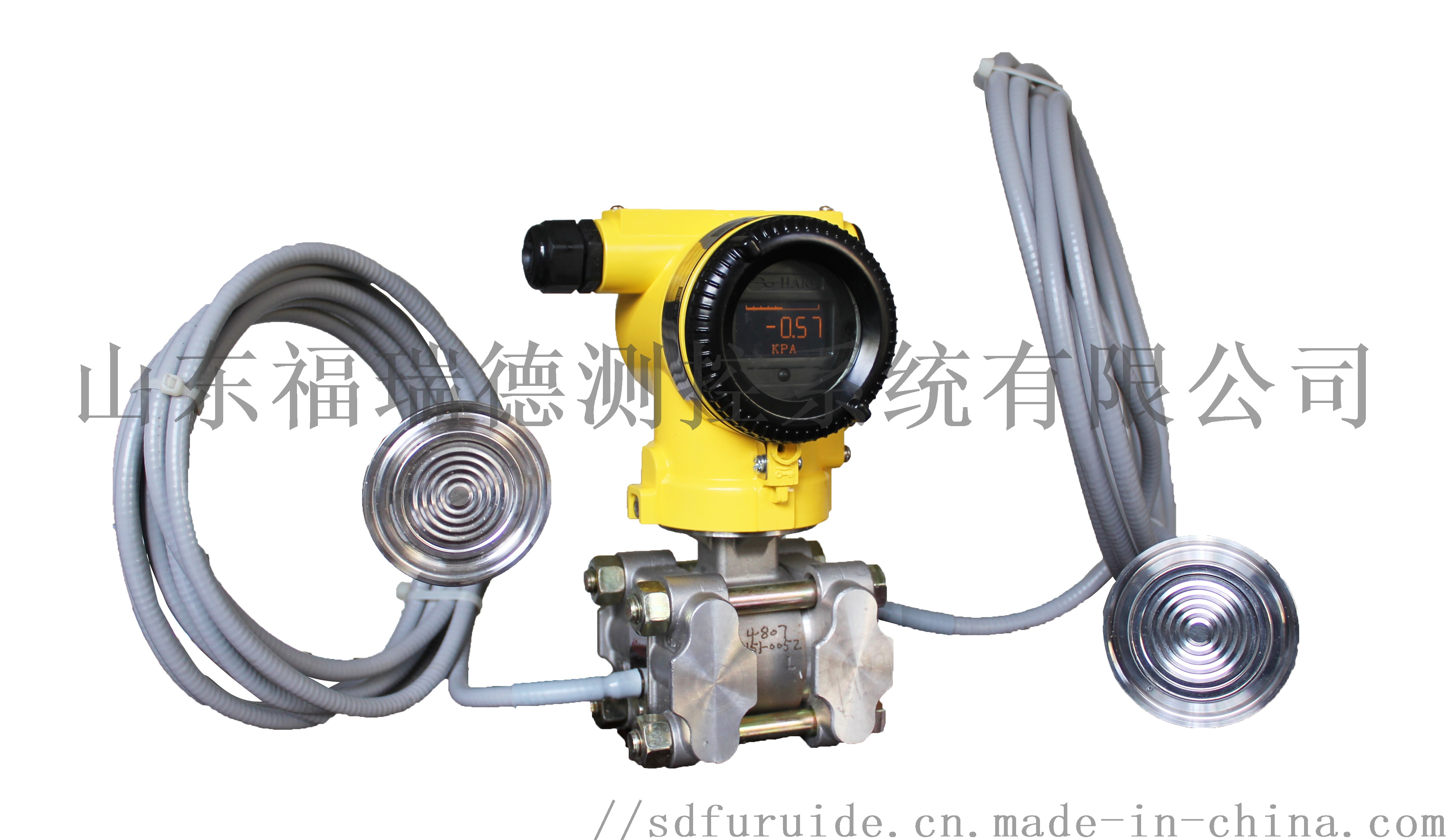 FD3051S LF单晶硅卫生型差压变送器758795122