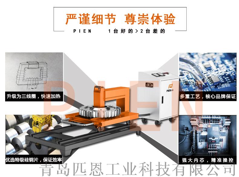 PIEN-250WT_04.jpg