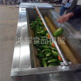 板栗石榴清洗机 莲藕清洗机 马蹄荸荠清洗机 定做