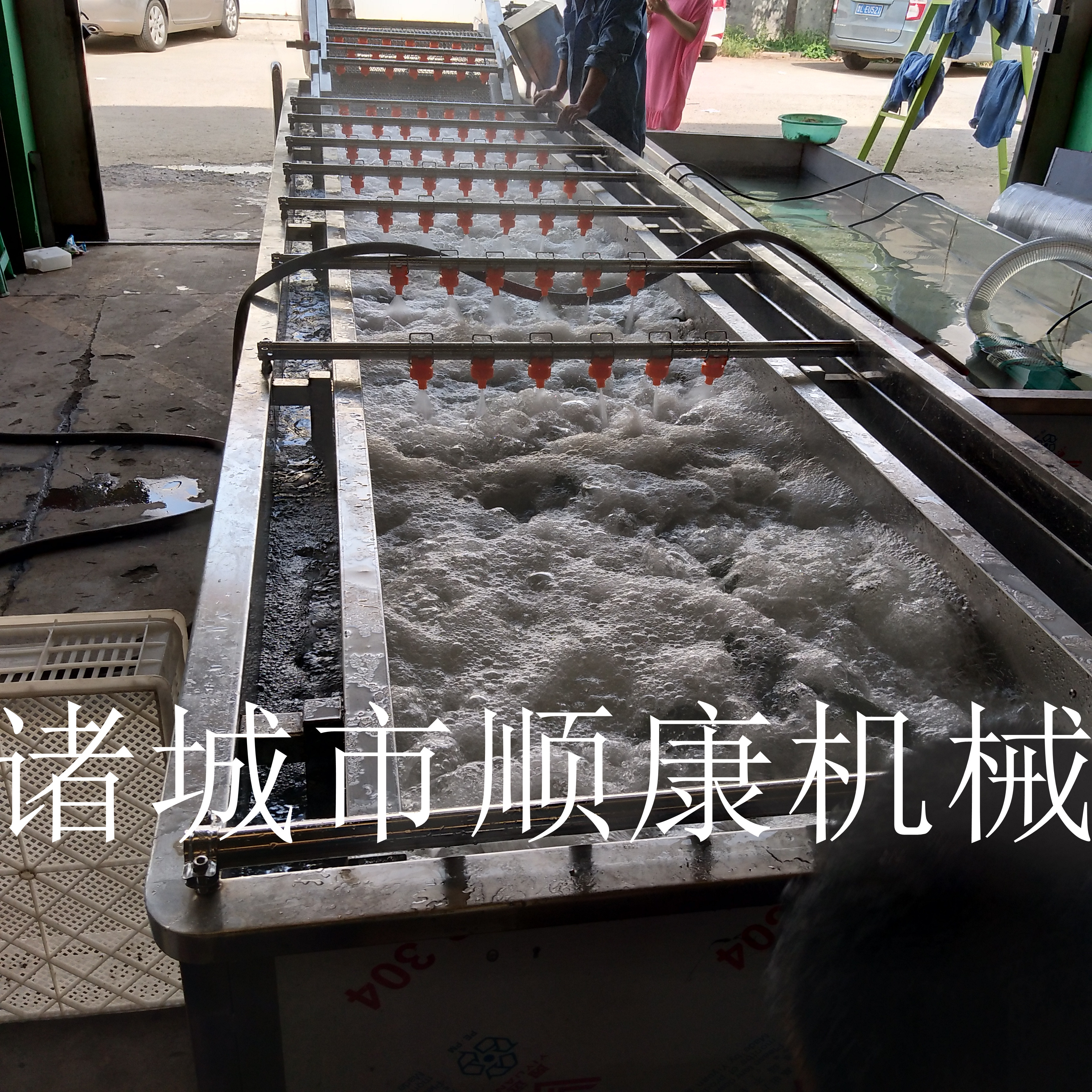 供应 顺康多功能果蔬清洗机57159052
