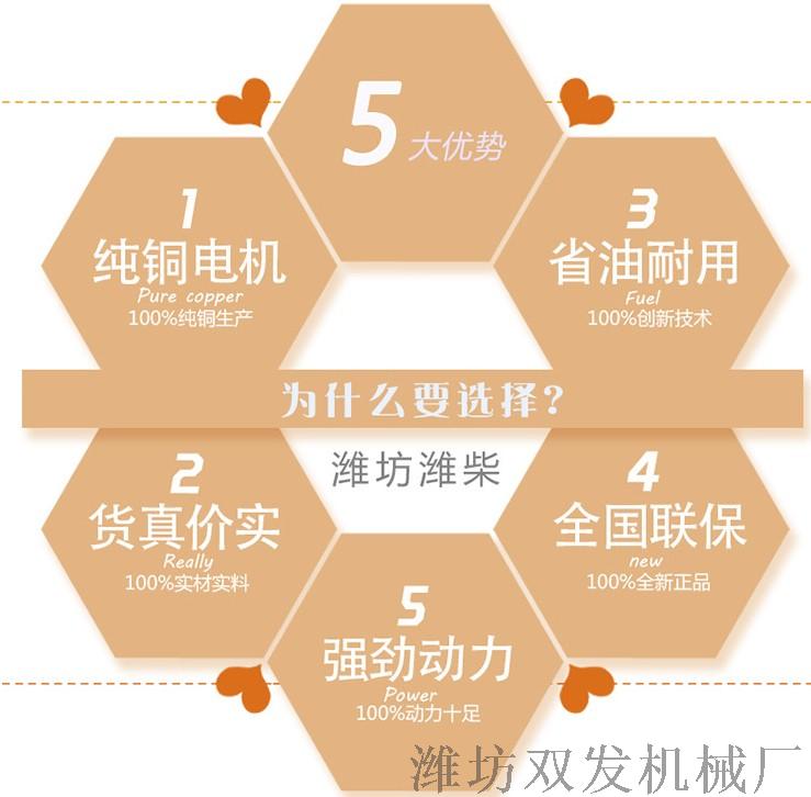选择潍坊潍柴.JPG