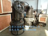 江淮水泵潜水清淤泵耐磨泥浆泵铰刀渣浆泵