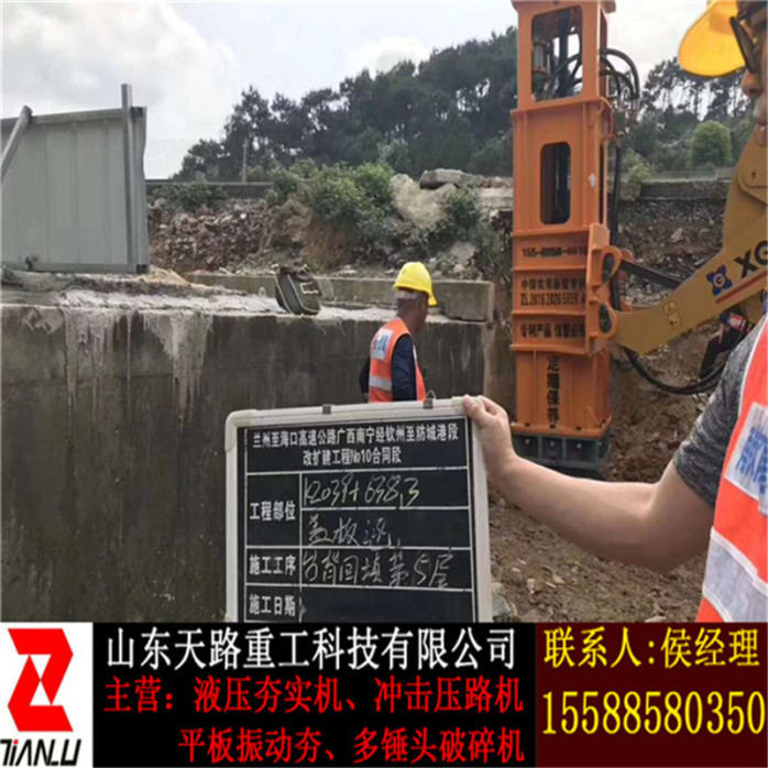 聊城平板振动夯规格图片-天路重工-现货761298002