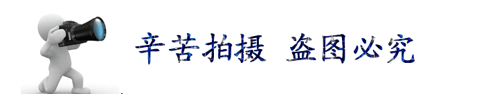 欧诺机械.gif