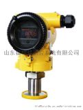 FD3051S FG/FA单晶硅卫生型表压/绝压变送器
