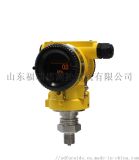 FD3051S TG/TA压力/绝压变送器