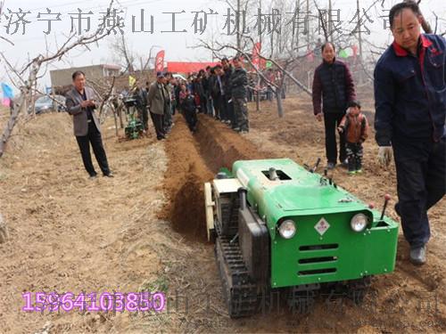 750+563_副本.jpg